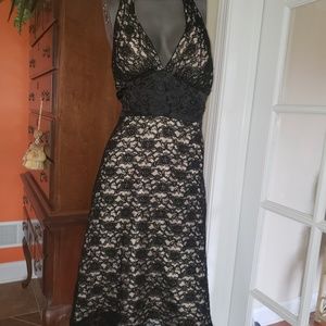 SZ 2 WHITE HOUSE BLACK MARKET DRESS